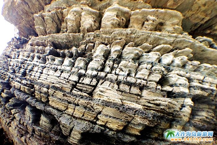 石城岛图片――神奇的龙脊礁5
